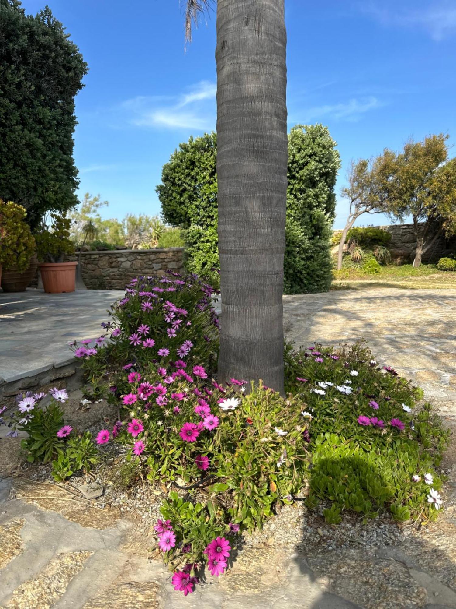 Divers House Agrari  المظهر الخارجي الصورة