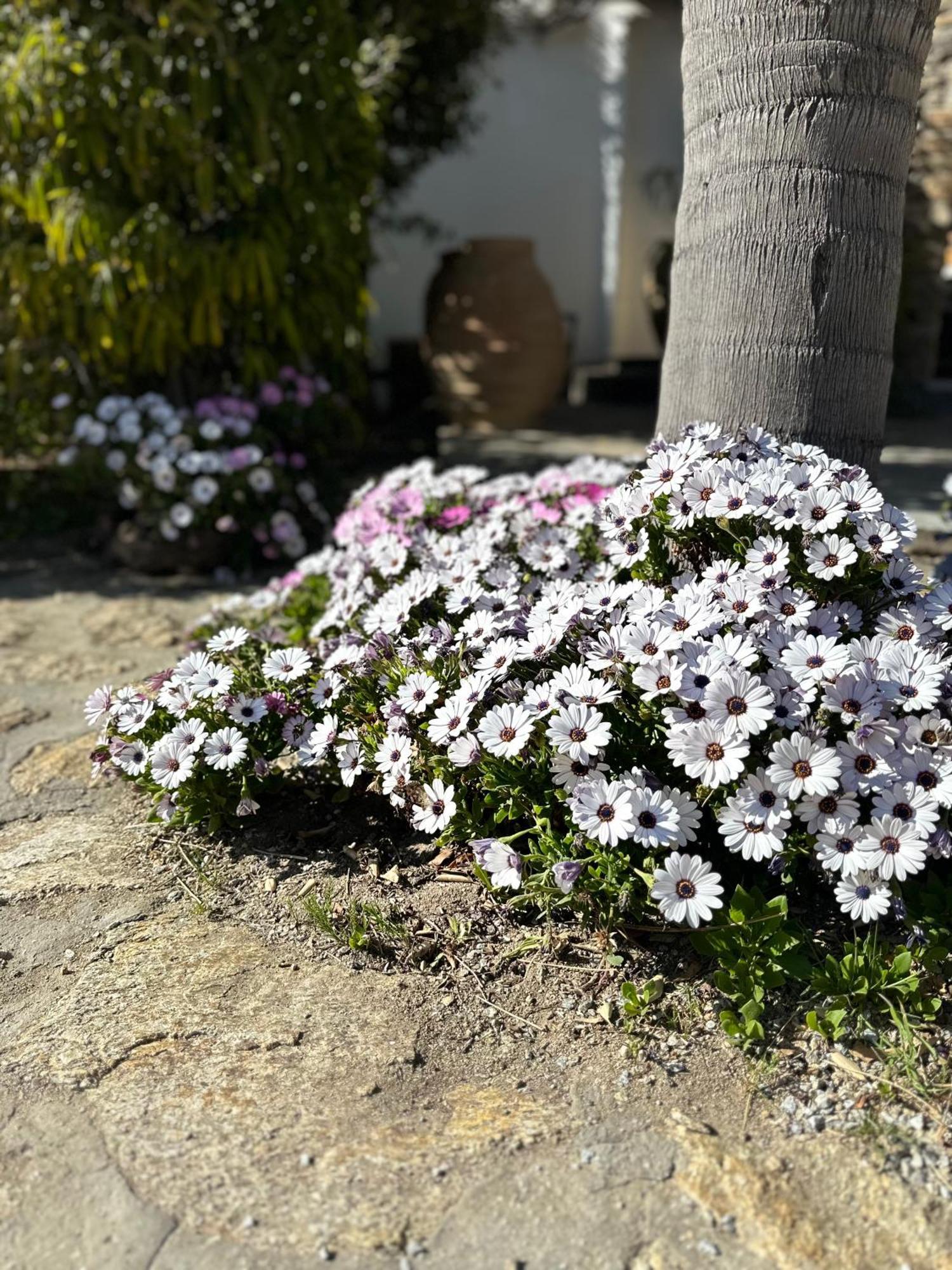 Divers House Agrari  المظهر الخارجي الصورة