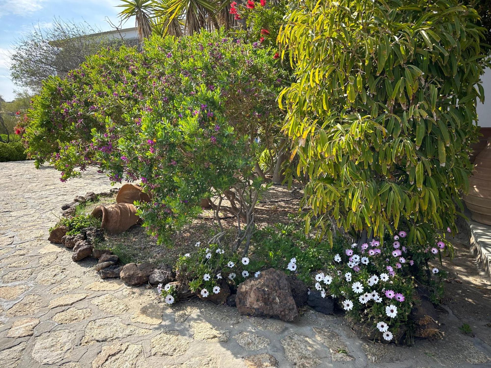 Divers House Agrari  المظهر الخارجي الصورة